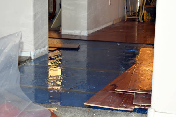 Professional Water Damage Restoration technician working in Three Lakes, WI